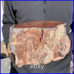 10.8LB Natural petrified wood rough Wood fossil mineral specimen healing energy 10.8LB Natural petrified wood rough Wood fossil mineral specimen healing energy