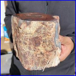 10.8LB Natural petrified wood rough Wood fossil mineral specimen healing energy 10.8LB Natural petrified wood rough Wood fossil mineral specimen healing energy