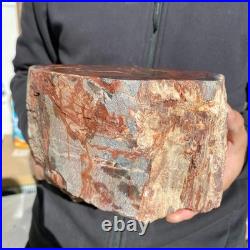 10.8LB Natural petrified wood rough Wood fossil mineral specimen healing energy 10.8LB Natural petrified wood rough Wood fossil mineral specimen healing energy