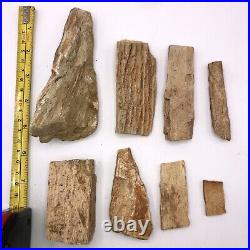 10 Piece Lot Of Mississippi River Bed Petrified Wood