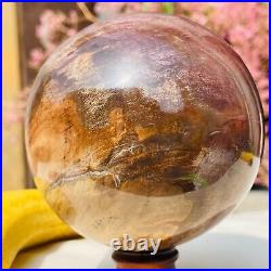 1119g Large Natural Petrified Wood Crystal Fossil Sphere Specimen Healing