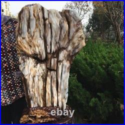 113Kg Collectible! Natural Petrified Wood Fossil Jade crystal specimen+stand