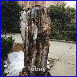 113Kg Collectible! Natural Petrified Wood Fossil Jade crystal specimen+stand
