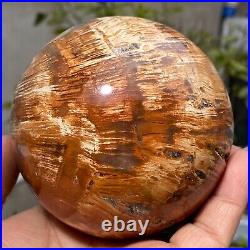 1140g Beautiful Large Petrified Wood Fossil Sphere Crystal Home Decor Specimen