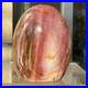 1160g_Natural_Fossil_Petrified_Wood_Polished_Freeform_Crystal_Mineral_Healing_01_ml