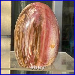 1160g Natural Fossil Petrified Wood Polished Freeform Crystal Mineral Healing
