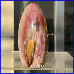 1160g Natural Fossil Petrified Wood Polished Freeform Crystal Mineral Healing