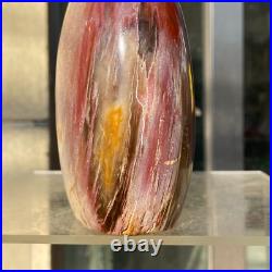 1160g Natural Fossil Petrified Wood Polished Freeform Crystal Mineral Healing