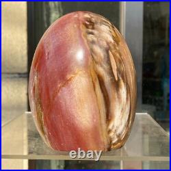 1160g Natural Fossil Petrified Wood Polished Freeform Crystal Mineral Healing
