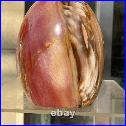 1160g Natural Fossil Petrified Wood Polished Freeform Crystal Mineral Healing