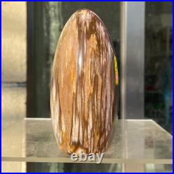 1160g Natural Fossil Petrified Wood Polished Freeform Crystal Mineral Healing