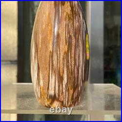 1160g Natural Fossil Petrified Wood Polished Freeform Crystal Mineral Healing
