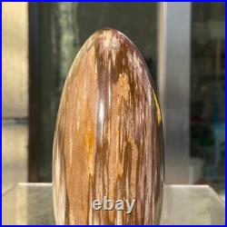1160g Natural Fossil Petrified Wood Polished Freeform Crystal Mineral Healing