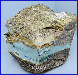 1175g Indonesian Blue Opalized Petrified Wood Rough Stone 98.3 x 97.1 x 85.9 mm