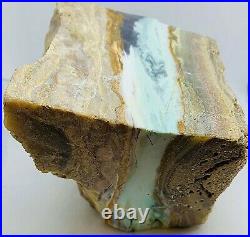 1175g Indonesian Blue Opalized Petrified Wood Rough Stone 98.3 x 97.1 x 85.9 mm