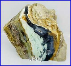 1181g Indonesian Blue Opalized Petrified Wood Rough Stone 88.7 x 91 x 85.8 mm