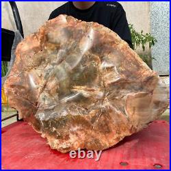 118lb Rare Natural petrified wood rough Wood fossil mineral specimen healing