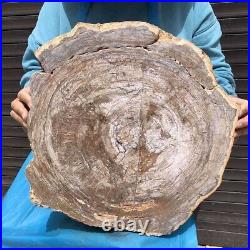 11KG Natural Petrified Wood Fossil Crystal Polished Slice Madagascar 36