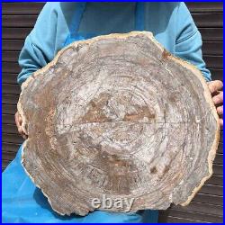 11KG Natural Petrified Wood Fossil Crystal Polished Slice Madagascar 36