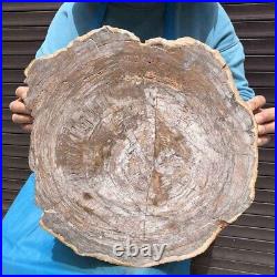 11KG Natural Petrified Wood Fossil Crystal Polished Slice Madagascar 36