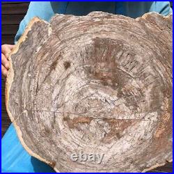 11KG Natural Petrified Wood Fossil Crystal Polished Slice Madagascar 36