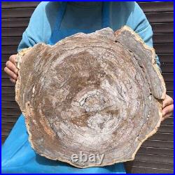 11KG Natural Petrified Wood Fossil Crystal Polished Slice Madagascar 36