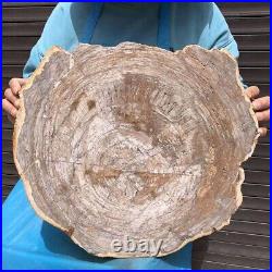 11KG Natural Petrified Wood Fossil Crystal Polished Slice Madagascar 36