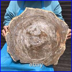 11KG Natural Petrified Wood Fossil Crystal Polished Slice Madagascar 36