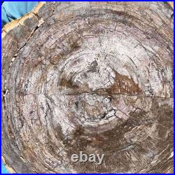 11KG Natural Petrified Wood Fossil Crystal Polished Slice Madagascar 36