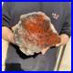 11LB_Natural_petrified_wood_rough_Wood_fossil_mineral_specimen_healing_energy_01_vk