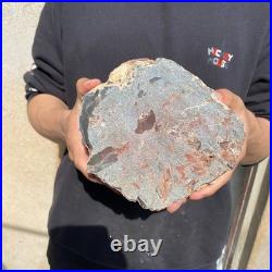 11LB Natural petrified wood rough Wood fossil mineral specimen healing energy