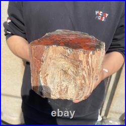 11LB Natural petrified wood rough Wood fossil mineral specimen healing energy