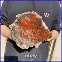 11LB Natural petrified wood rough Wood fossil mineral specimen healing energy
