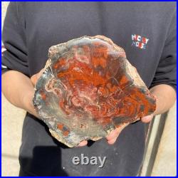 11LB Natural petrified wood rough Wood fossil mineral specimen healing energy