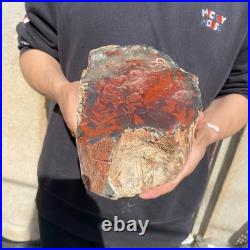 11LB Natural petrified wood rough Wood fossil mineral specimen healing energy