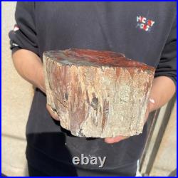 11LB Natural petrified wood rough Wood fossil mineral specimen healing energy