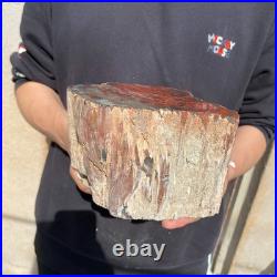 11LB Natural petrified wood rough Wood fossil mineral specimen healing energy
