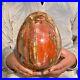 11_68lb_Beautiful_Large_Petrified_Wood_Fossil_Egg_Crystal_Home_Decor_Specimen_01_gczm