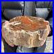 11_6lb_Rare_Natural_petrified_wood_rough_Wood_fossil_mineral_specimen_healing_01_ur