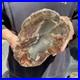 11_9LB_Natural_petrified_wood_rough_Wood_fossil_mineral_specimen_healing_energy_01_nbrh
