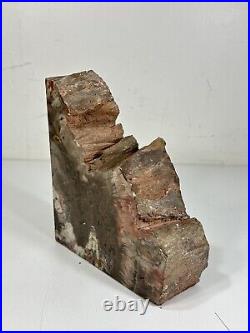 11 lbs. Arizona Petrified Wood Matched Bookends Original Label Felt Bottom