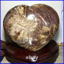11kg NATURAL PRETTY Petrified Wood FOSSIL Crystal HEART Healing +base