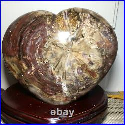 11kg NATURAL PRETTY Petrified Wood FOSSIL Crystal HEART Healing +base