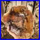 11lbs_Petrified_Wood_Bowl_Pink_Peach_Rustic_Decor_Trinket_Statement_Dish_492_01_ztp