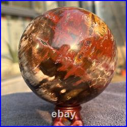 1208g Natural Petrified Wood Fossil Quartz Crystal Sphere Mineral Specimen