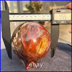 1208g Natural Petrified Wood Fossil Quartz Crystal Sphere Mineral Specimen