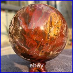 1208g Natural Petrified Wood Fossil Quartz Crystal Sphere Mineral Specimen