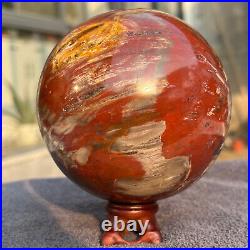 1208g Natural Petrified Wood Fossil Quartz Crystal Sphere Mineral Specimen