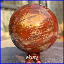 1208g Natural Petrified Wood Fossil Quartz Crystal Sphere Mineral Specimen