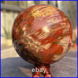 1208g Natural Petrified Wood Fossil Quartz Crystal Sphere Mineral Specimen